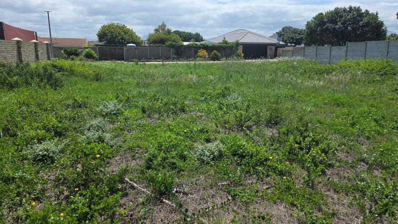 0 Bedroom Property for Sale in Reebok Western Cape